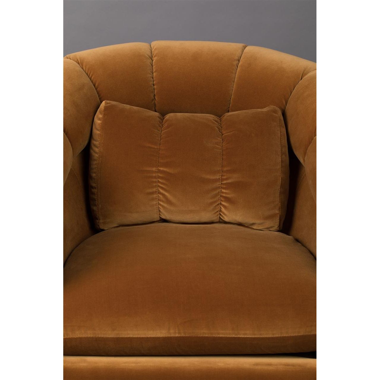 Fauteuil member whiskey