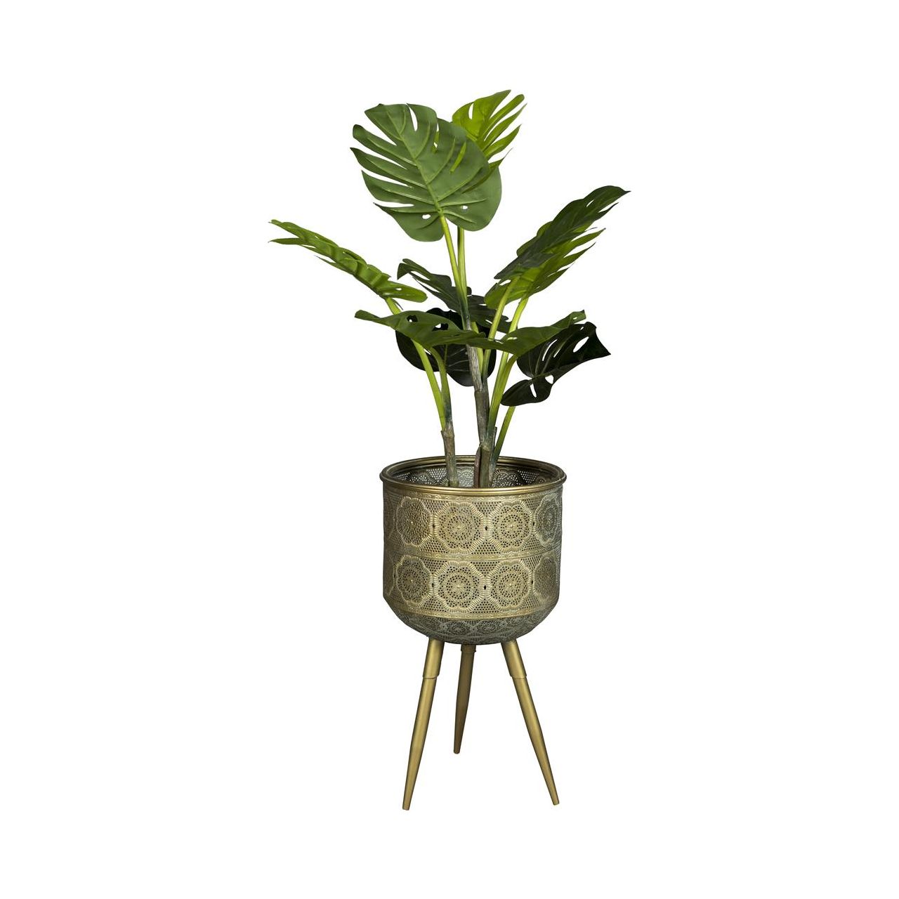 Plant stand botanique m