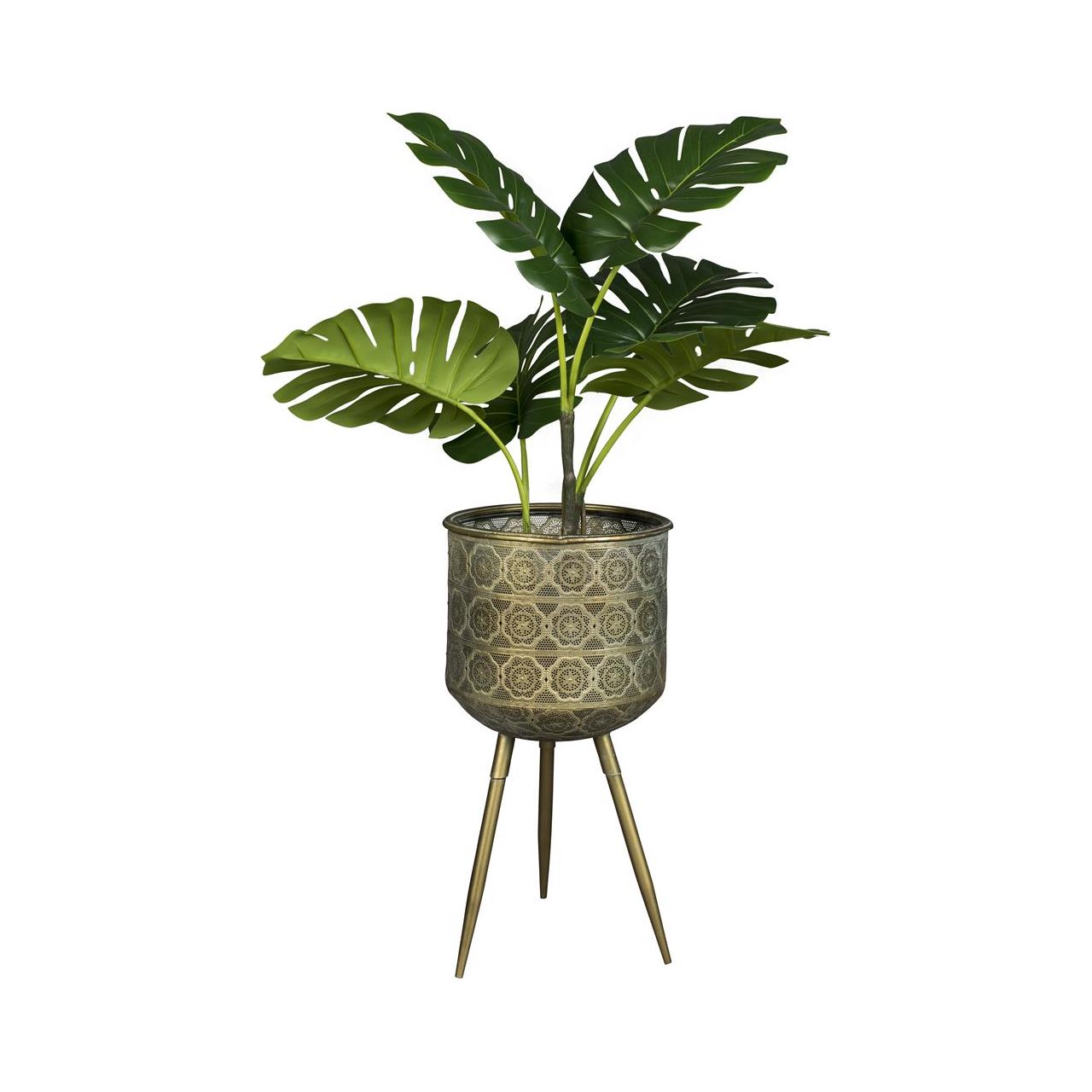 Plant stand botanique l