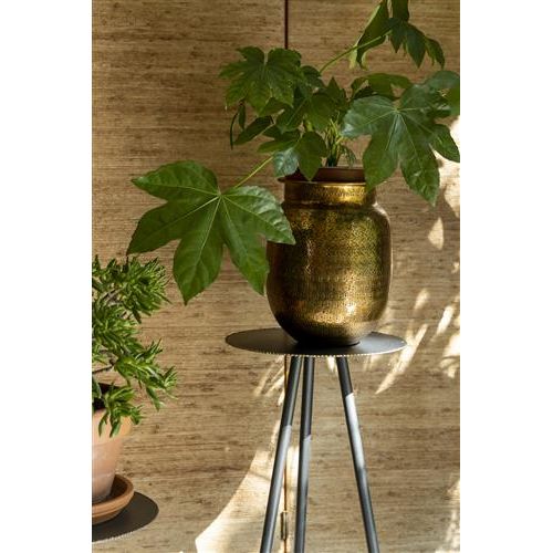 Plant stand stalwart low set of 2