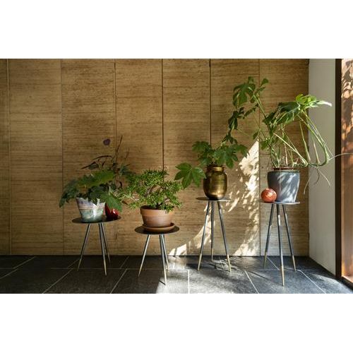 Plant stand stalwart low set of 2