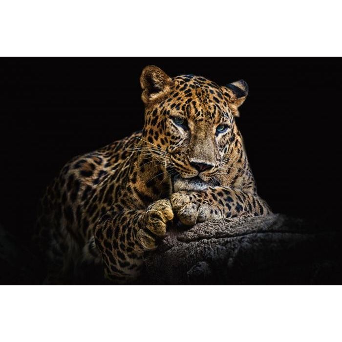 Resting Leopard | Glass painting 120x80cm