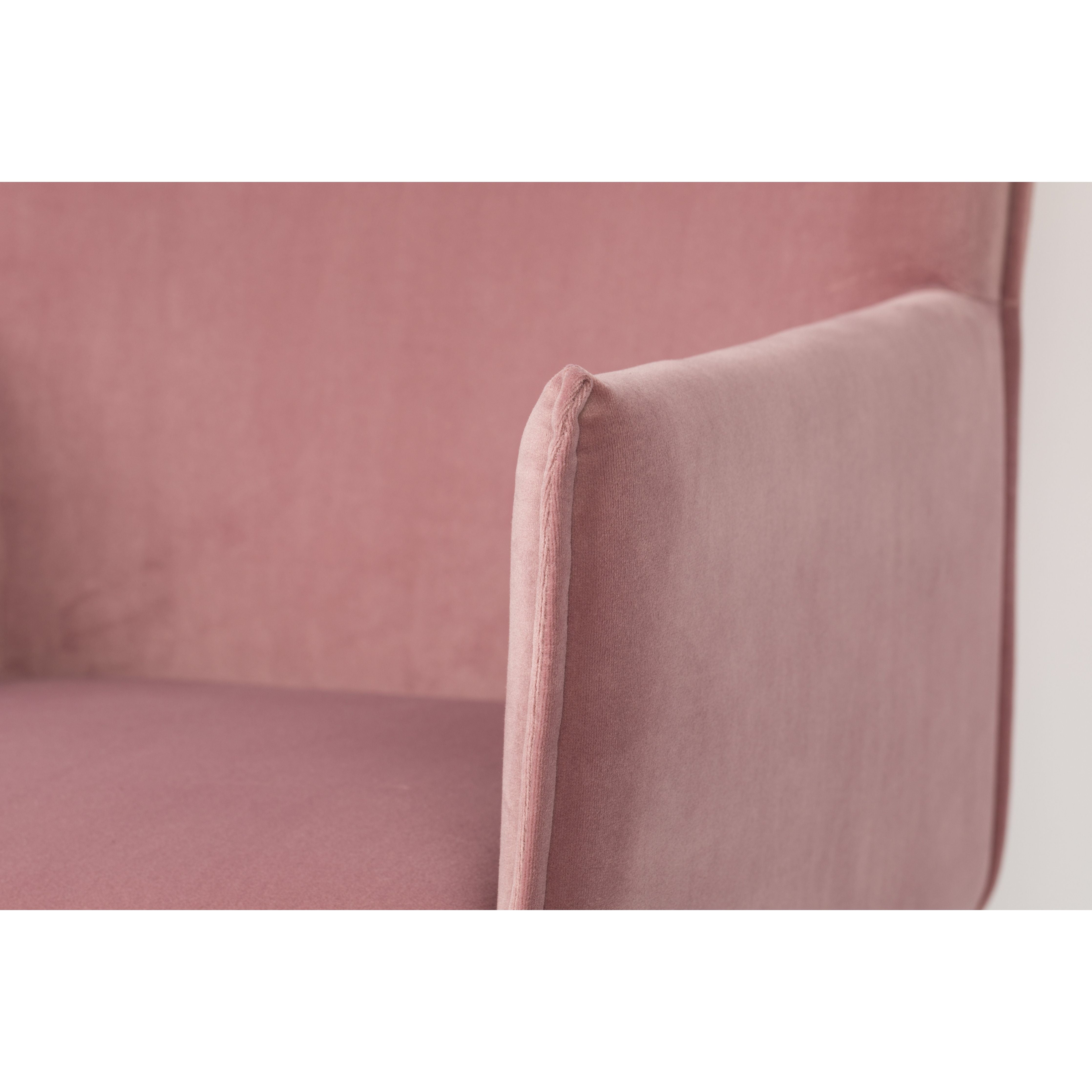 Armchair dion velvet pink | 2 pieces