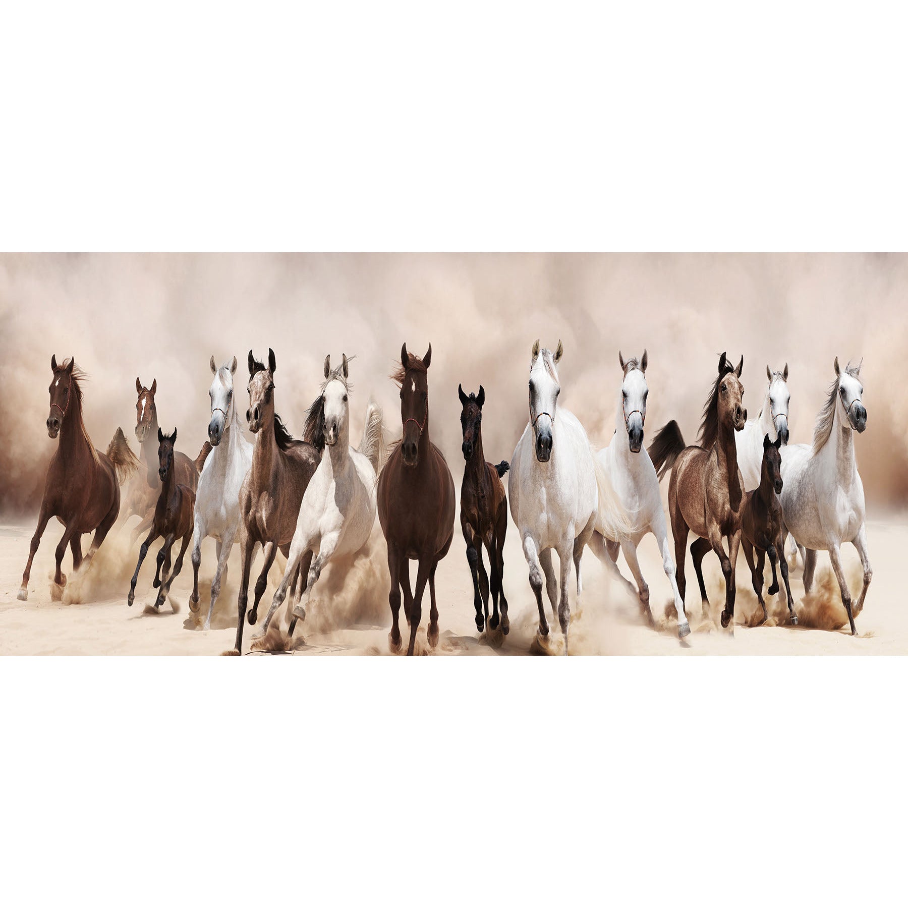Glass painting - Wild Horses