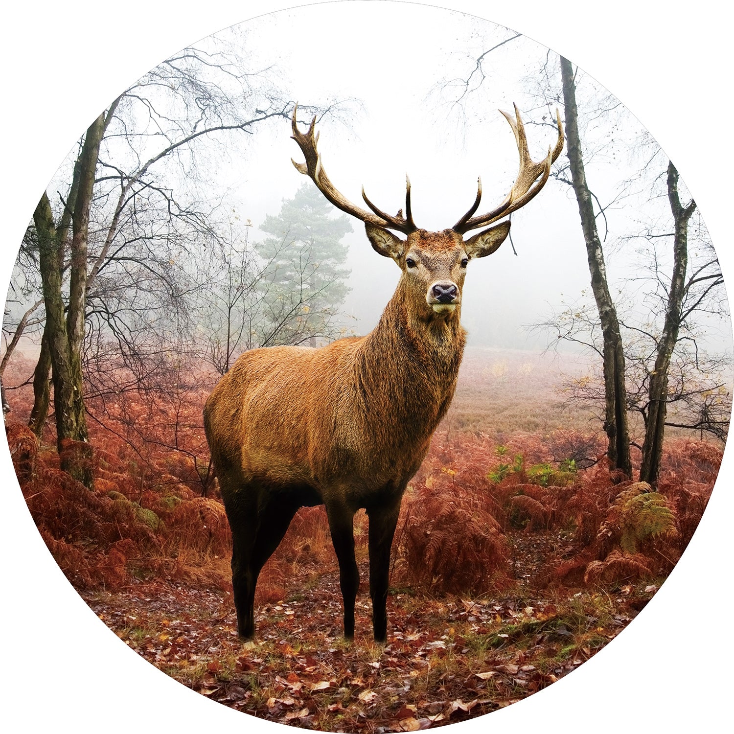Round glass painting - Wild Deer