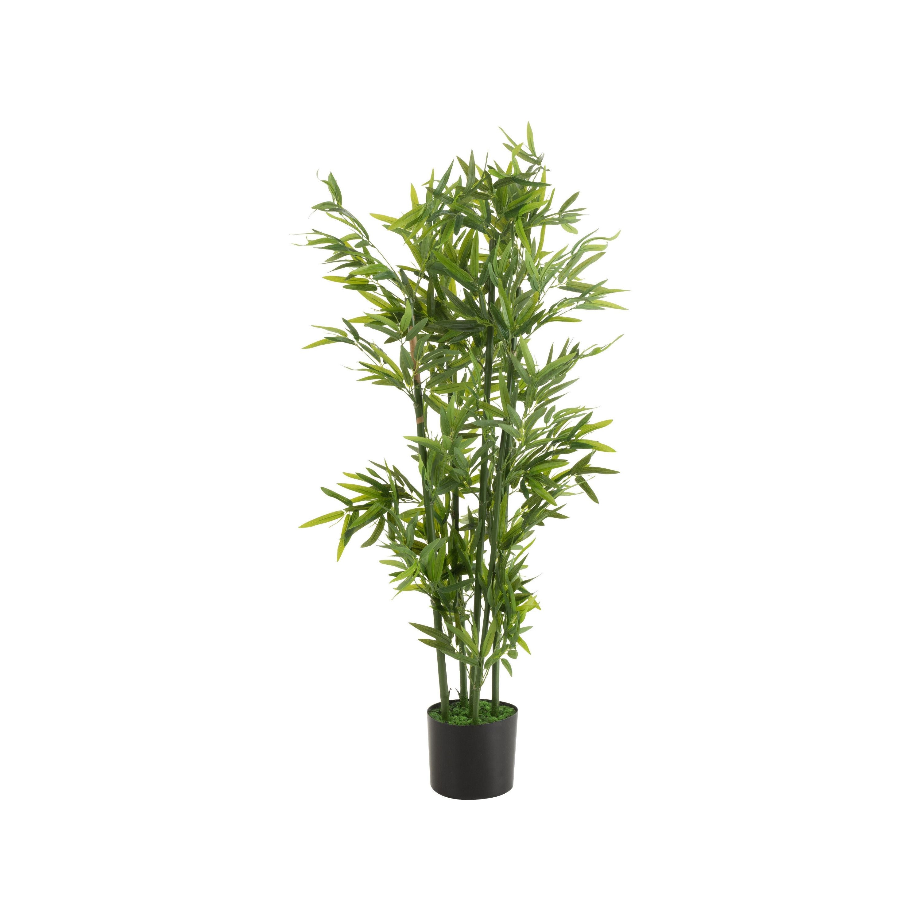 Bamboo In Pot Plastic Green Small