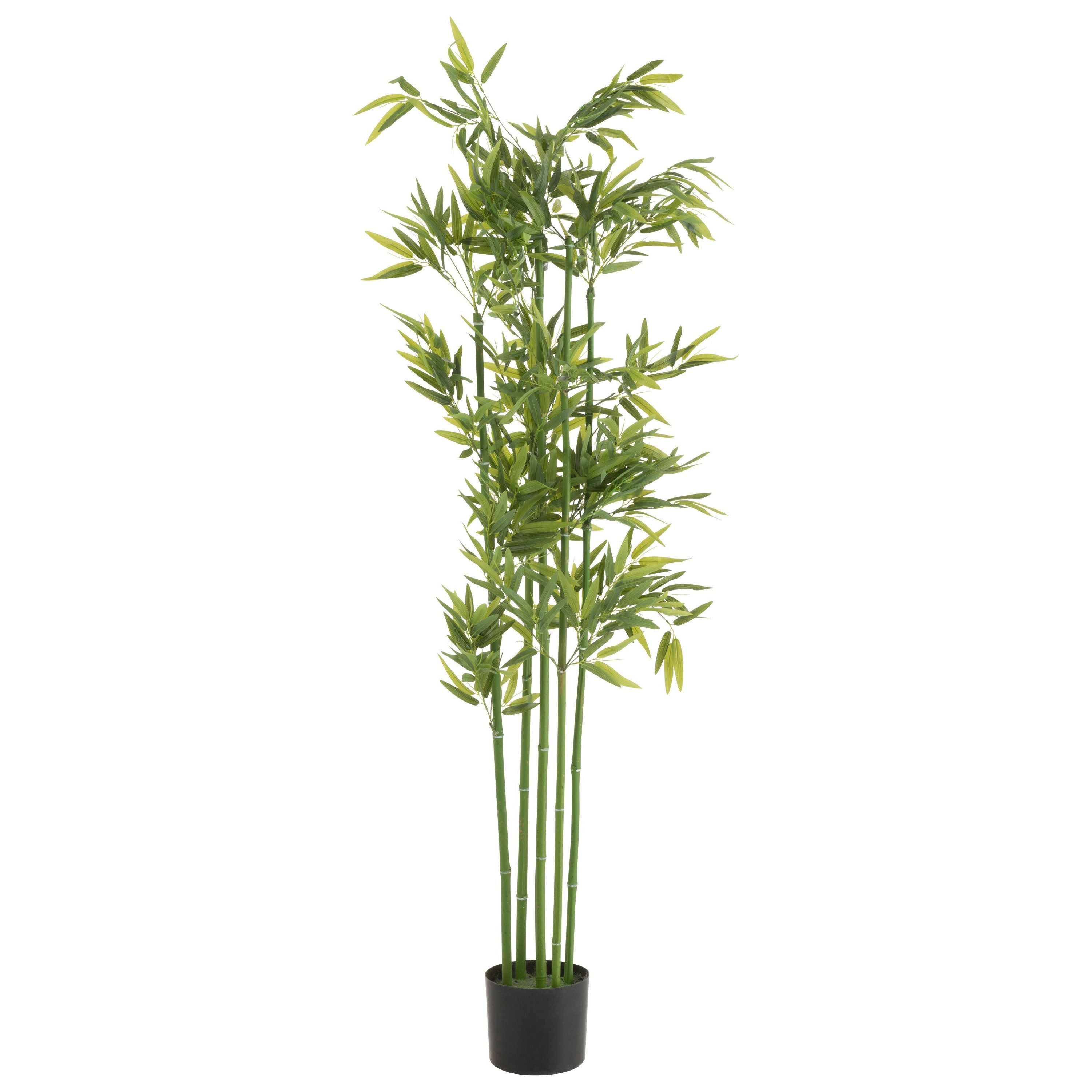 Bamboo In Pot Plastic Green Large