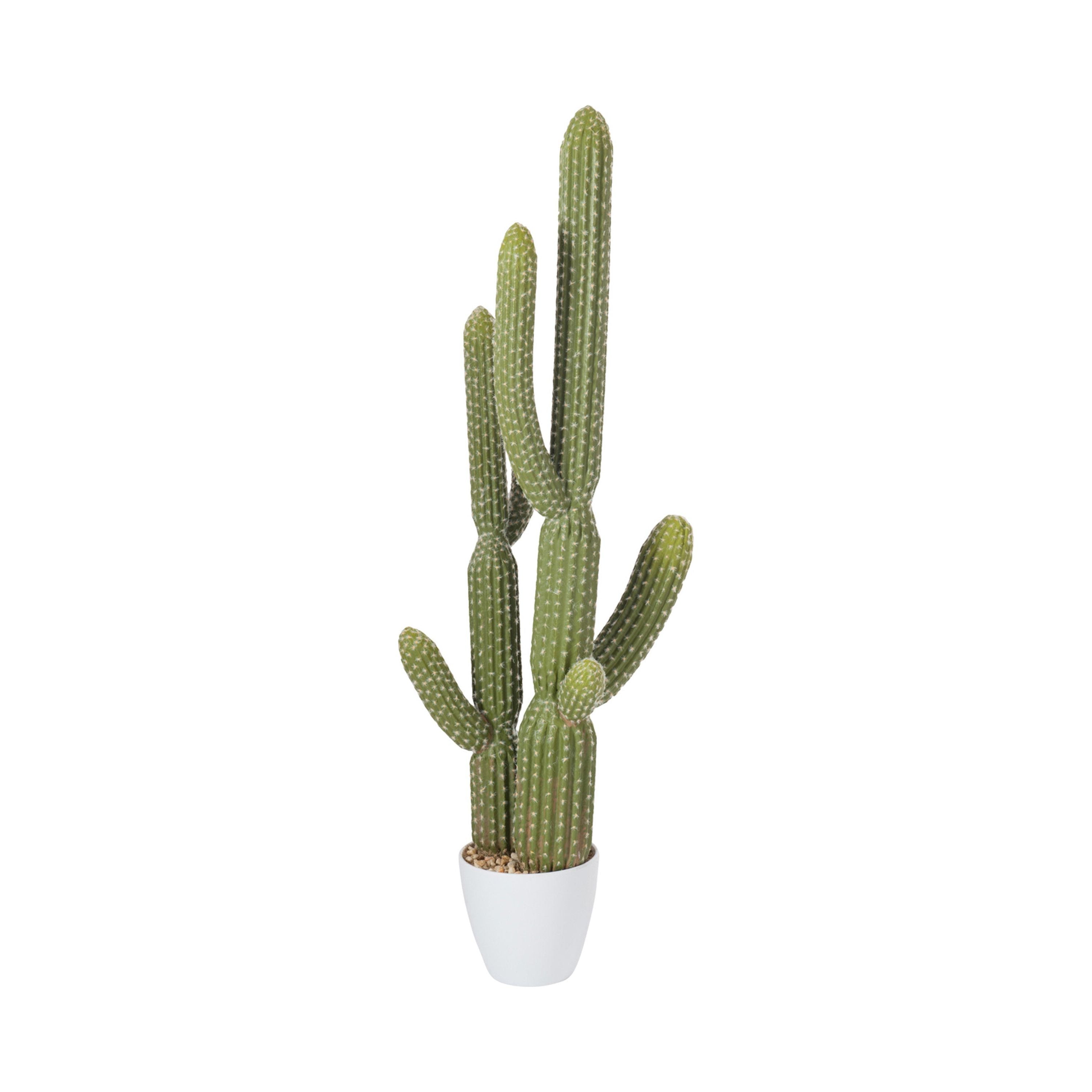 Cactus+pot Plastic Green/melamine White Large
