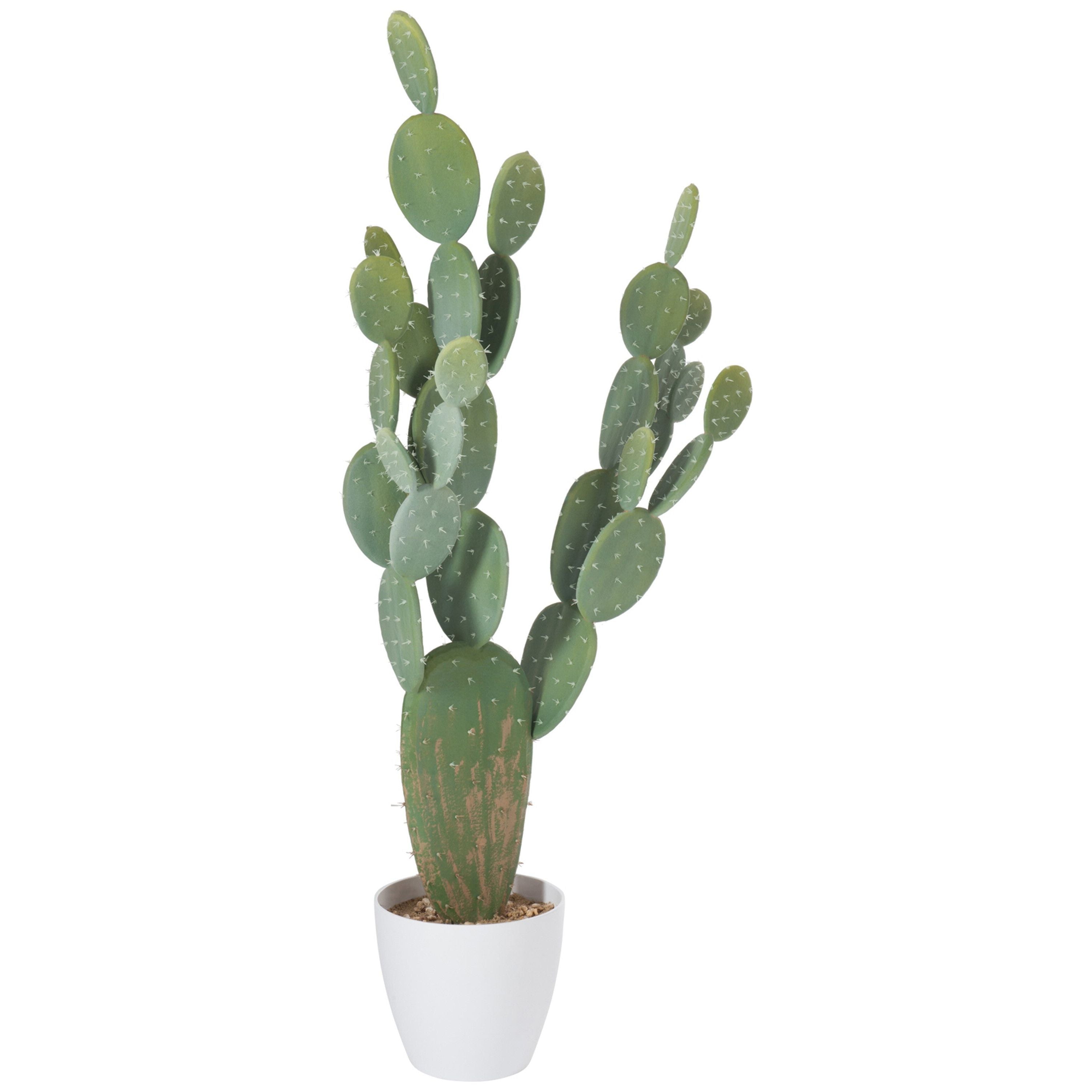 Cactus+pot Plastic Green/melamine White XL