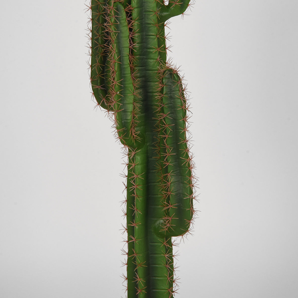 LABEL51 Cactus - Green - Plastic - 130 cm