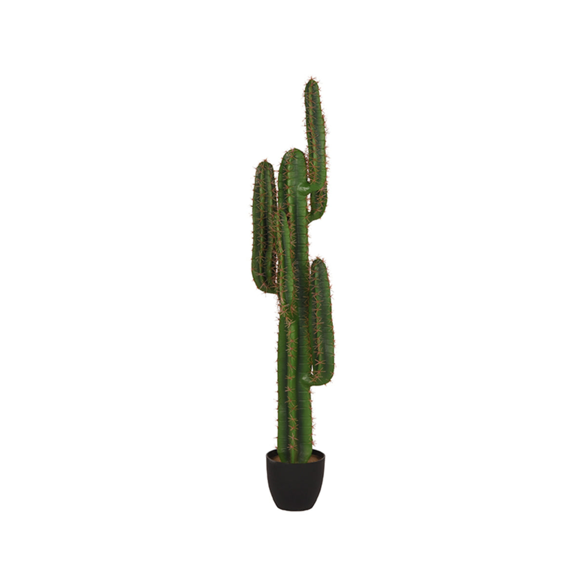 LABEL51 Cactus - Green - Plastic - 130 cm