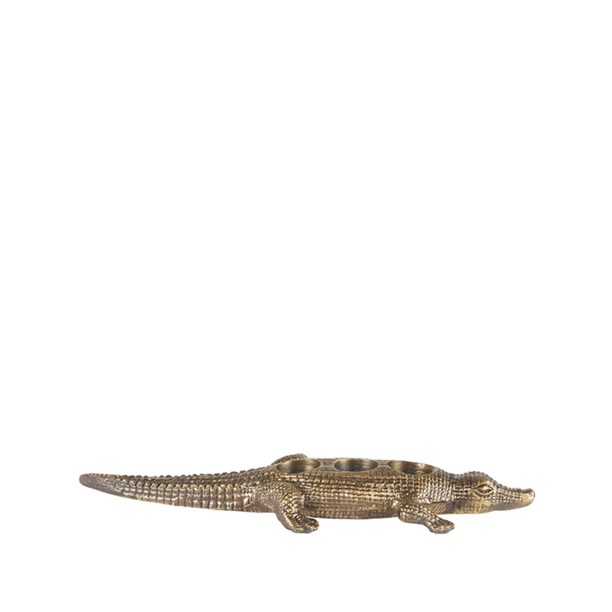LABEL51 Crocodile - Antique gold - Metal