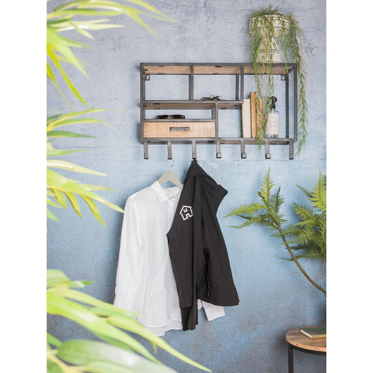 Wall cupboard - Huub Links coat rack